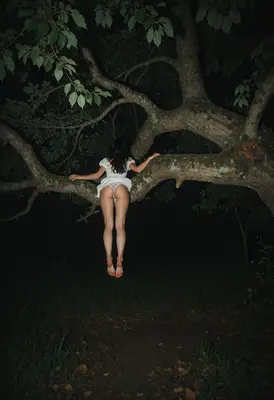 Ethereal Figure Resting In Dark Branches