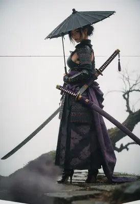 Mist Shrouded Samurai Warrior